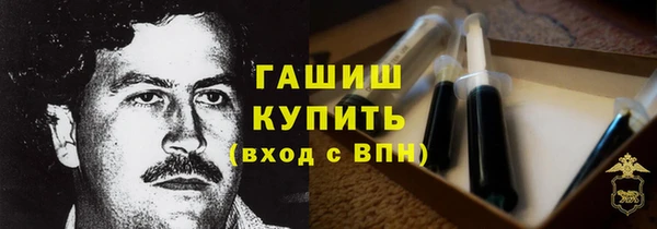гидра Балахна