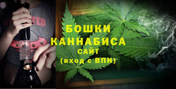 ешки Белокуриха