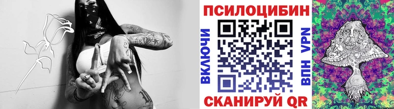 Псилоцибиновые грибы Psilocybine cubensis  Горнозаводск 